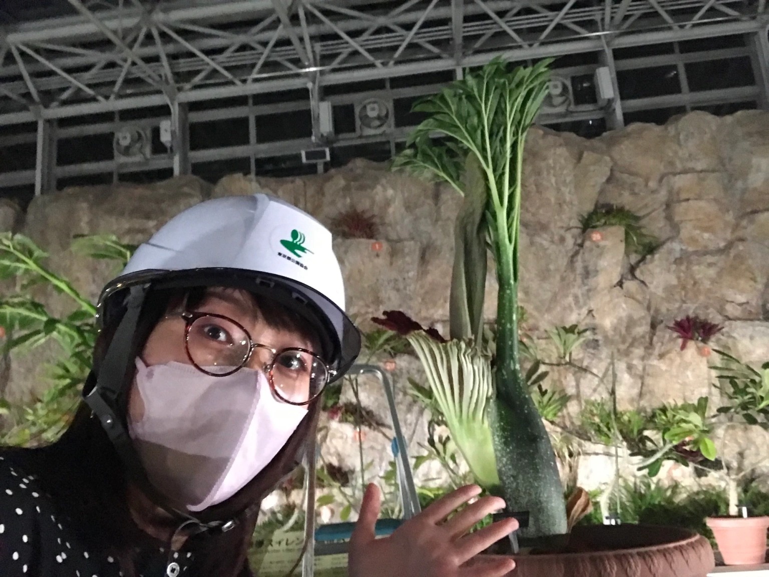 We get a rare whiff of the corpse flower, a.k.a. the world’s stinkiest