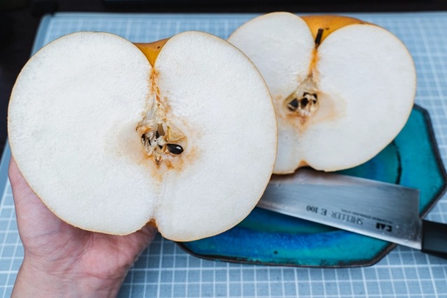 Check out this atago pear from Shimane Prefecture, weighing in at 1.5 kilograms (3.3 pounds)