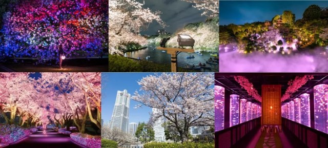 10 sakura-viewing events to enjoy the Tokyo area’s cherry blossoms in 2023