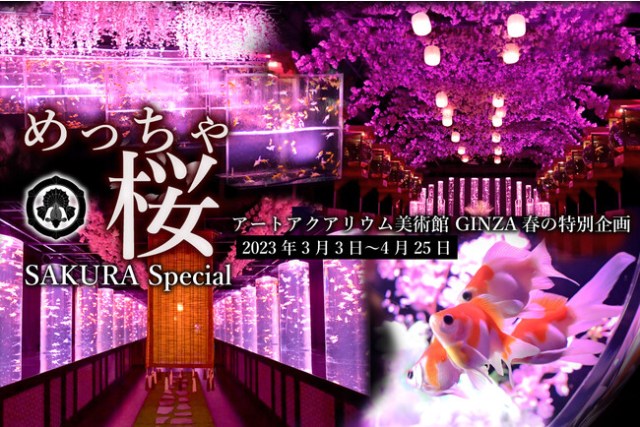 Art Aquarium Ginza offers a captivating new way to enjoy the cherry blossoms–with goldfish!
