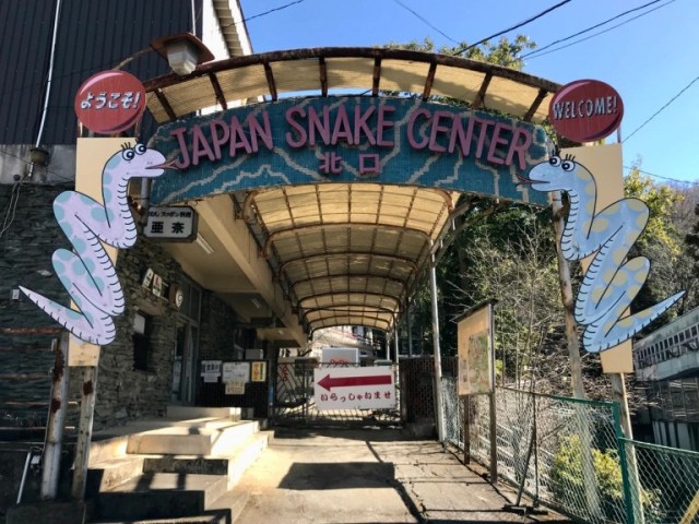 Visiting the Japan Snake Center, the Gunma zoo dedicated entirely to snakes