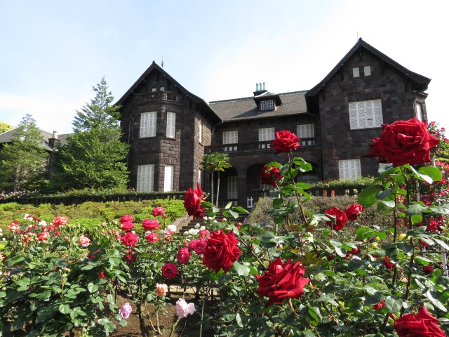 Stop and smell the flowers during the Spring Rose Festival at Tokyo’s best rose garden