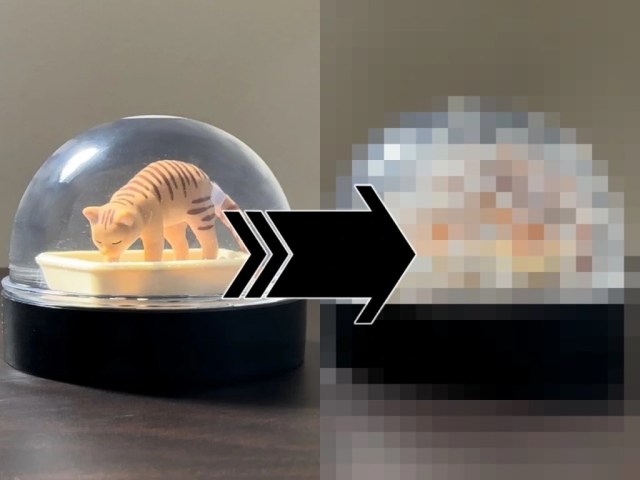We got our paws on the real-kitty-litter snow globe, and here’s how it looks