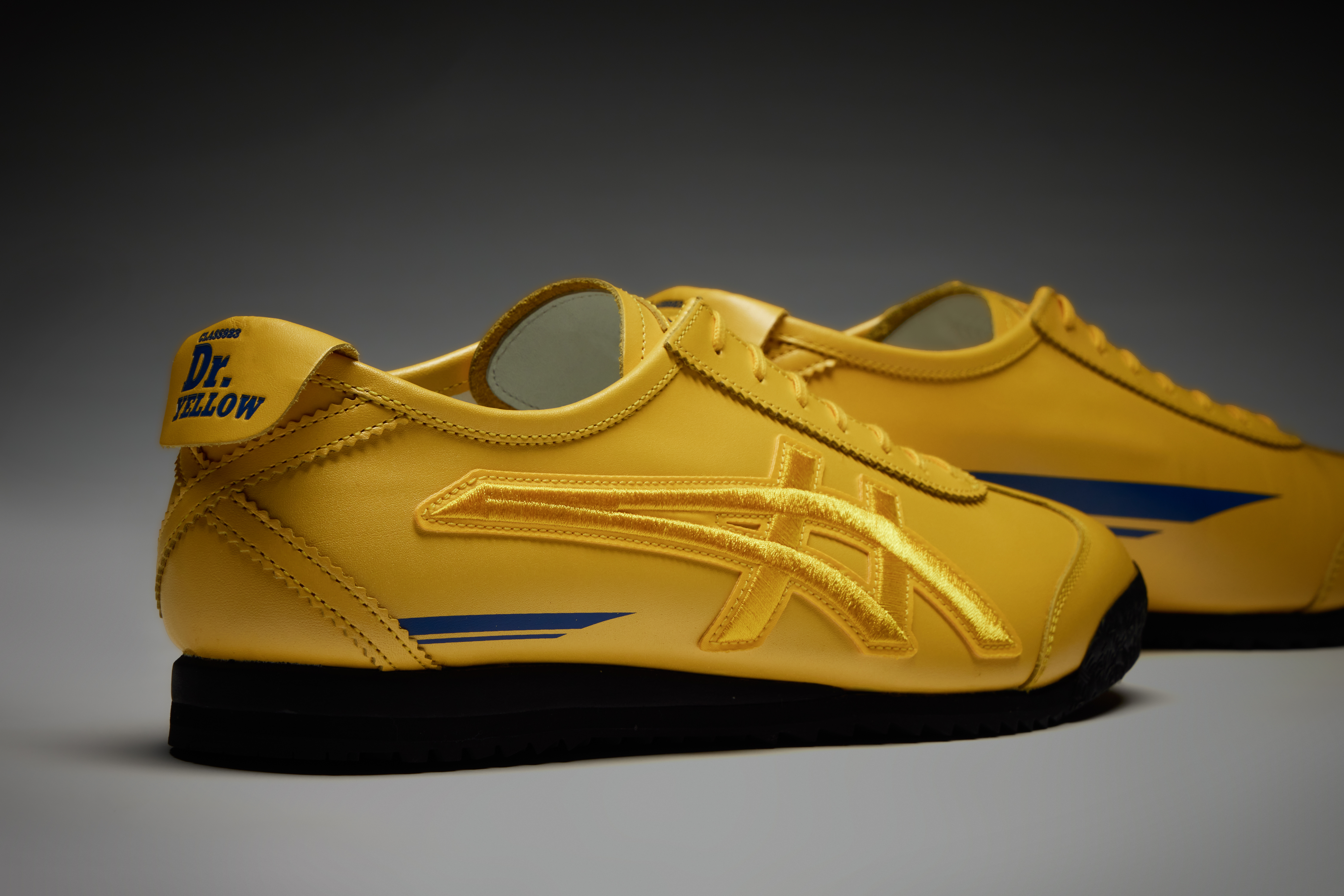 Types of clearance onitsuka tiger shoes