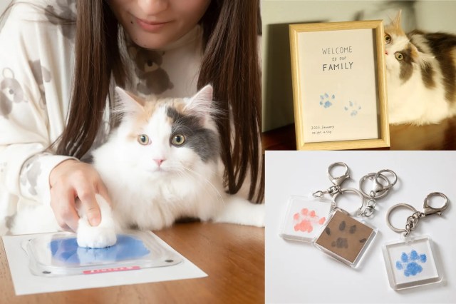 Mess-free ink paw print kit makes over 1,000-percent of goal in Japanese crowdfunding project