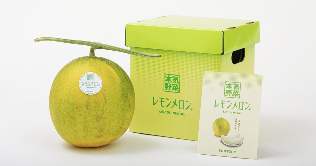 Hokkaido farmers have developed a new fruit, the Lemon Melon, combining ...