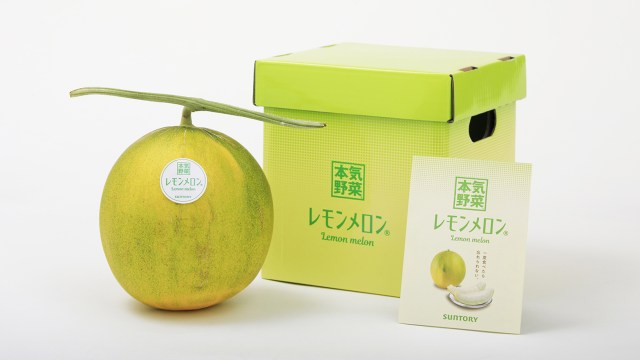 Hokkaido farmers have developed a new fruit, the Lemon Melon, combining the best of both