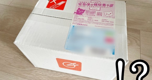 Japan’s subscription service simply called “Mom” is totally worth it ...