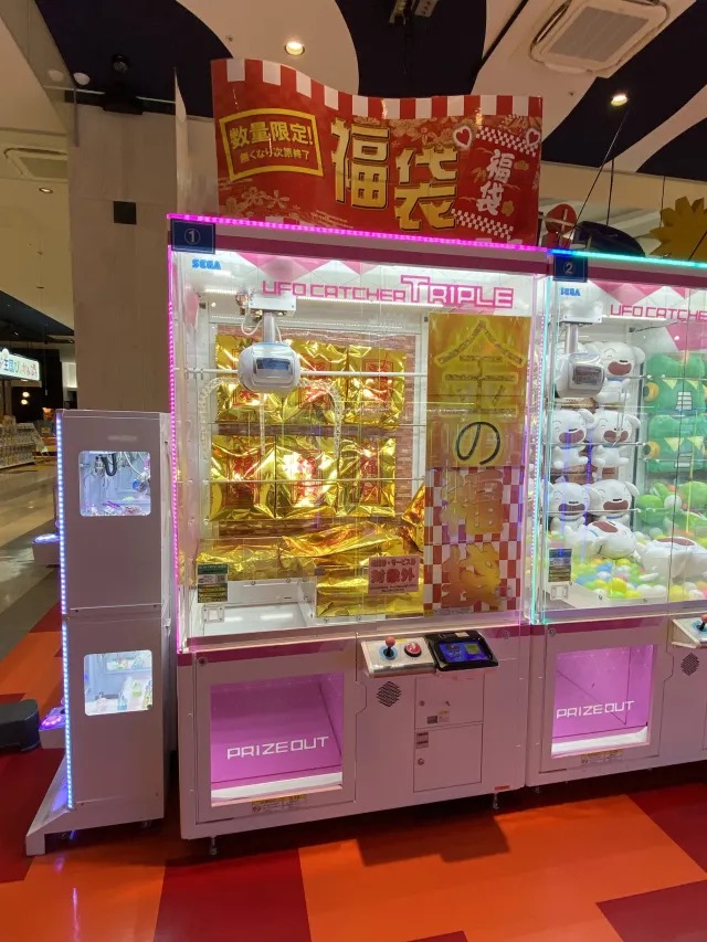 We beat two crane games at a Japanese arcade and take home two lucky ...