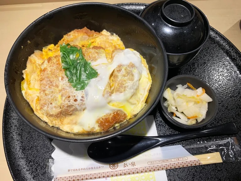 Japan’s favorite pork cutlet sandwich maker also has awesome katsudon