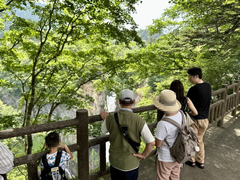Why you shouldn't say you've seen enough until you've seen Japan's