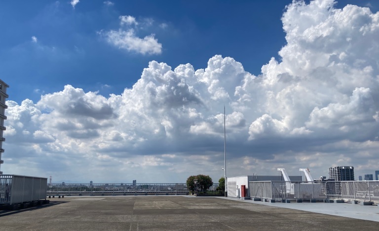 One of Tokyo's low-key best rooftop views is about to disappear, so 