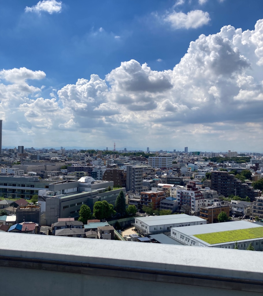 One of Tokyo’s low-key best rooftop views is about to disappear, so see ...