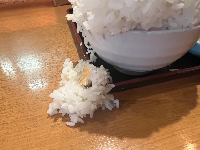 Japanese restaurant challenges diners to conquer “Mt Everest rice ...