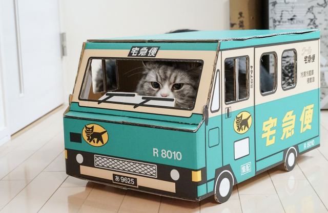 Can cats cut the cost of power? Japanese delivery company with a cat-themed name investigates