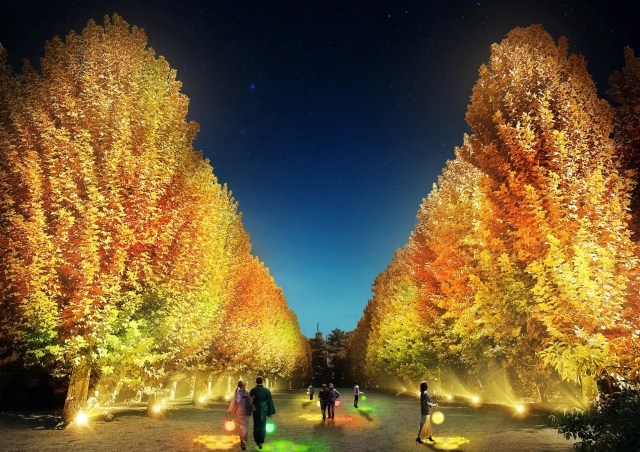 Tokyo’s best downtown garden gets even more beautiful with after-dark fall colors event