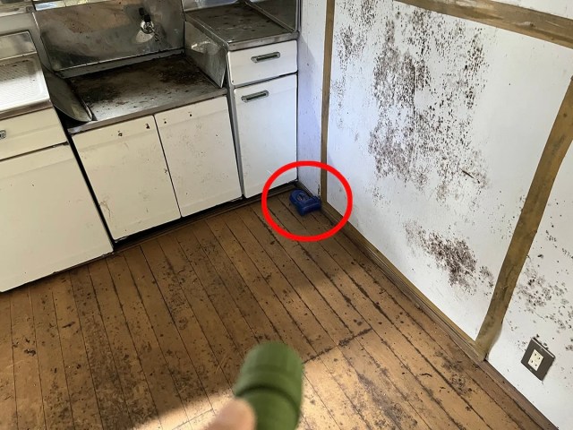 Testing a cockroach trap from a clothing website on our 100-year-old house【SoraHouse】