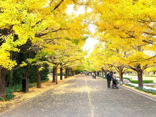 Half an hour outside downtown Tokyo, this park is an underrated gem for autumn colors【Photos】