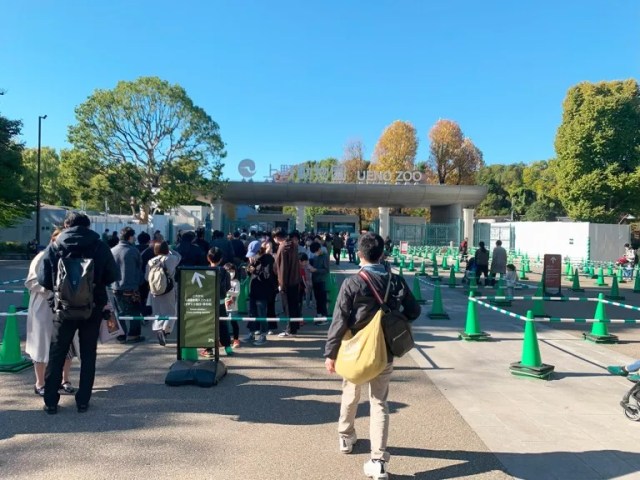 Visiting Ueno Zoo for the first time as an adult shows our reporter the true appeal of the place