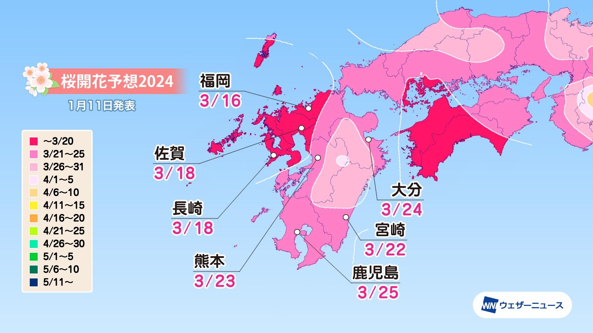 Super Detailed Cherry Blossom Forecast Maps Show Early Arrival For   SF 3 