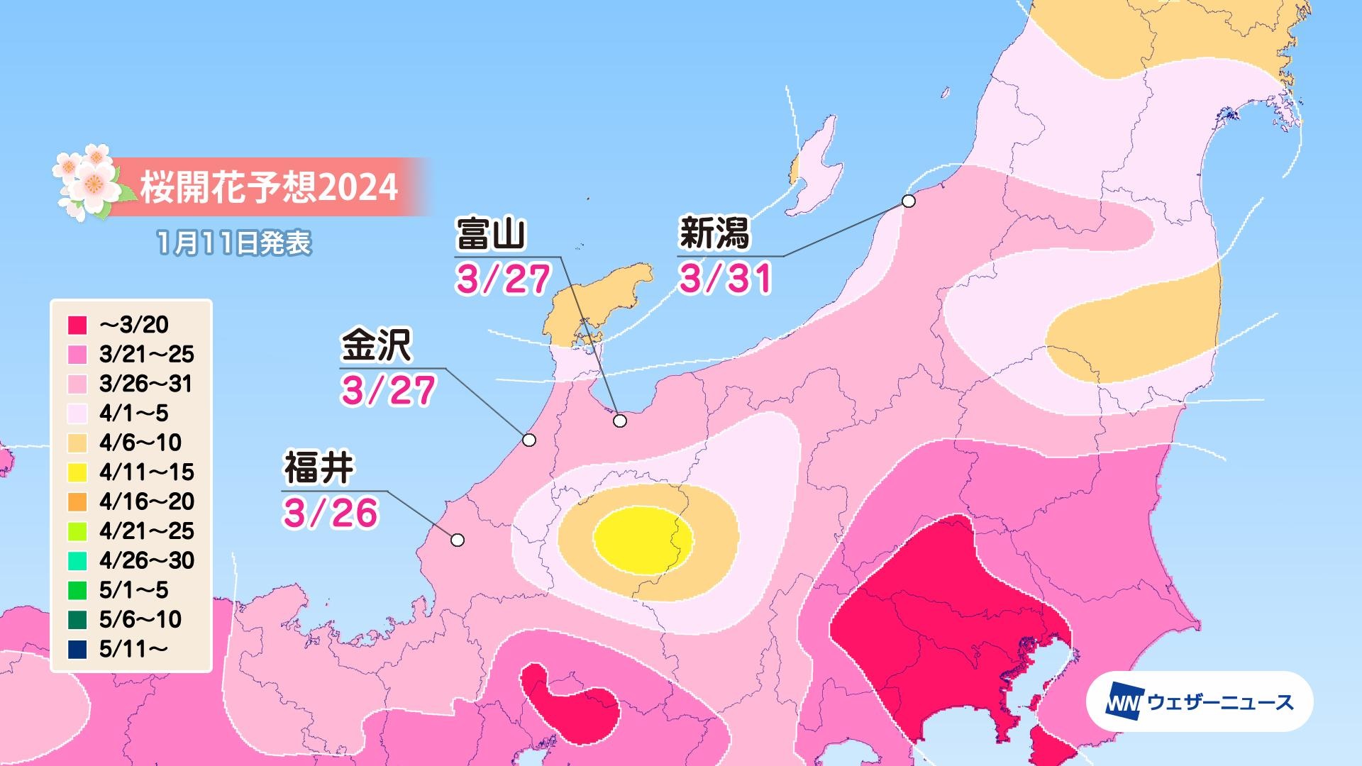 Super Detailed Cherry Blossom Forecast Maps Show Early Arrival For   SF 7 