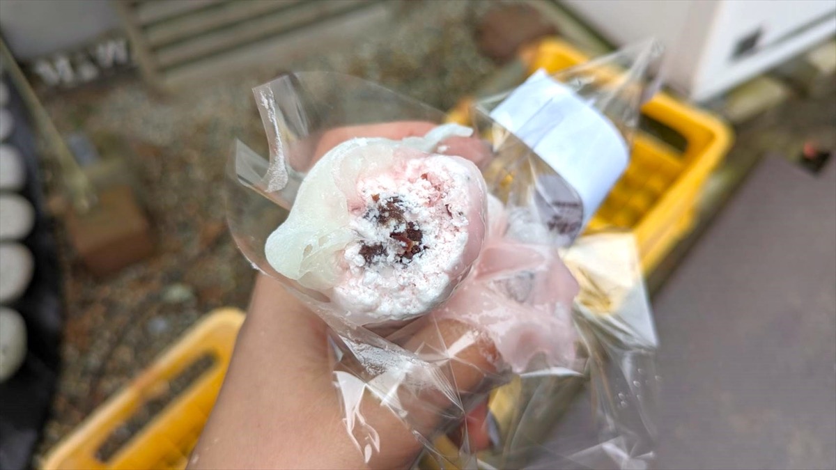 Rare vending machine at Japan's oldest shrine sells…divine crepes
