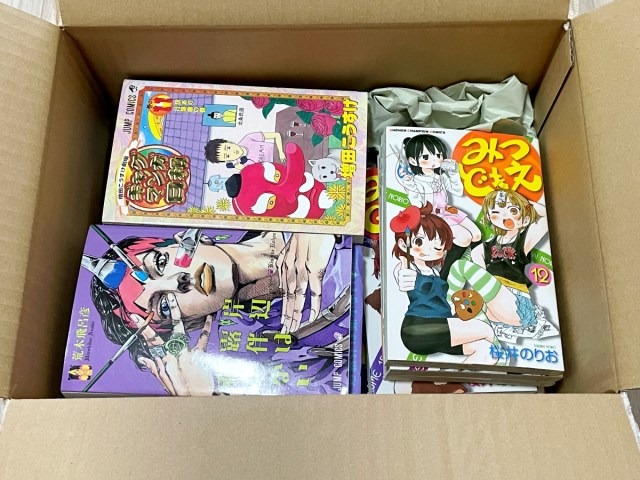 A few snags don’t stop the satisfaction of this used shonen manga lucky bag