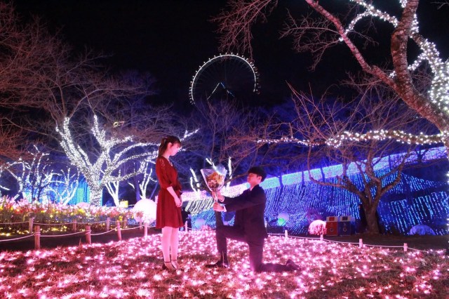 Park in Japan offers special love confession plans with 6 million lights
