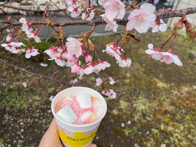 Japanese convenience store chain now sells Sakura Lattes!