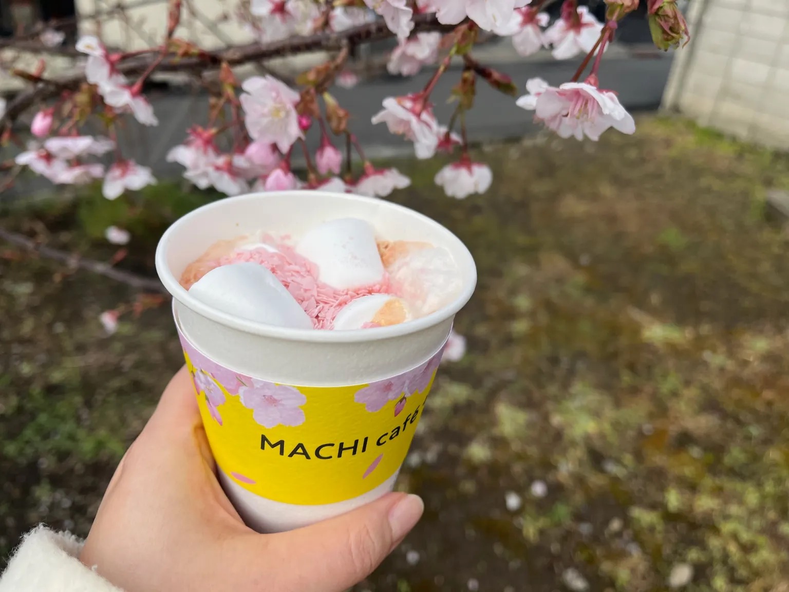 Japanese convenience store chain now sells Sakura Lattes