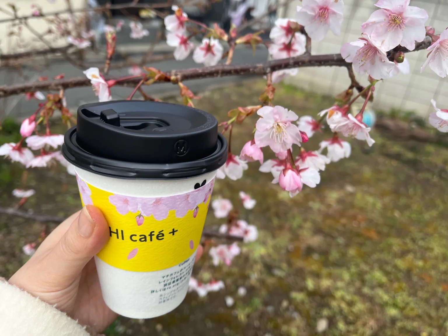 Japanese convenience store chain now sells Sakura Lattes