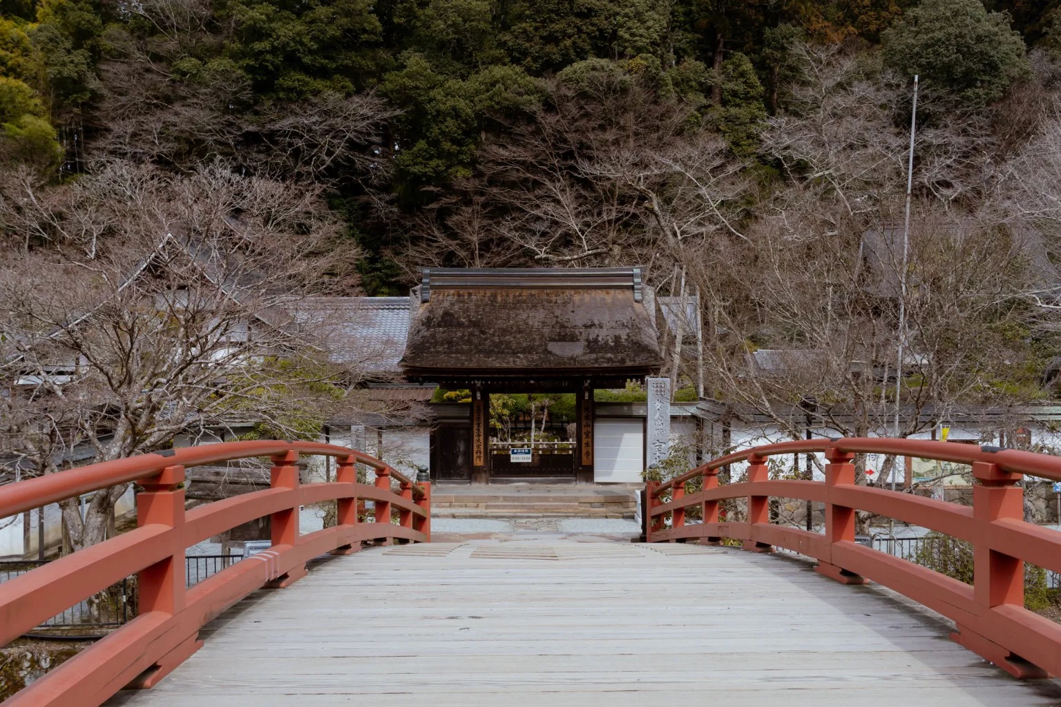Ancient temple with National Treasures is a hidden gem on the Nara