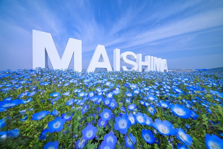 Nemophila season off to an early, and beautiful, start as baby 