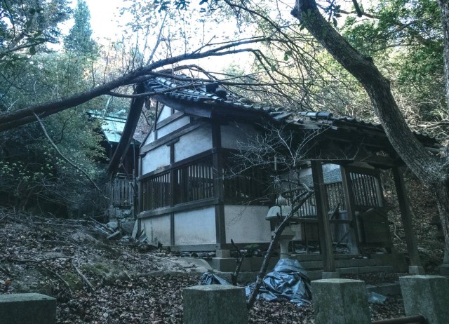 Japan has nearly 4 million abandoned homes, but where and why?