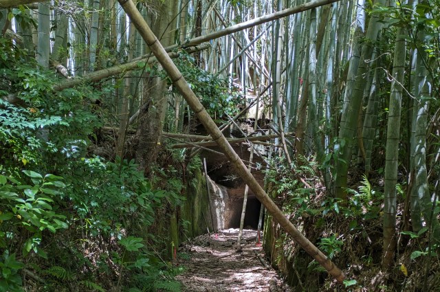 Japanese hand-dug tunnels on a bamboo forest trail are like a quest in a video game