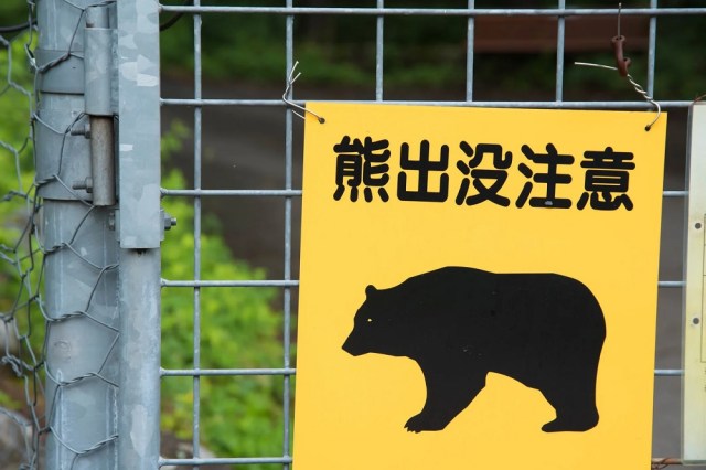 Government bear attack warning poster in Japan may be too cute for its own good