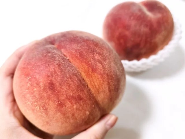 Peachy keen life hack! Japan’s Zen-Noh shares an ingeniously easy way to pit a peach in seconds【Photos】
