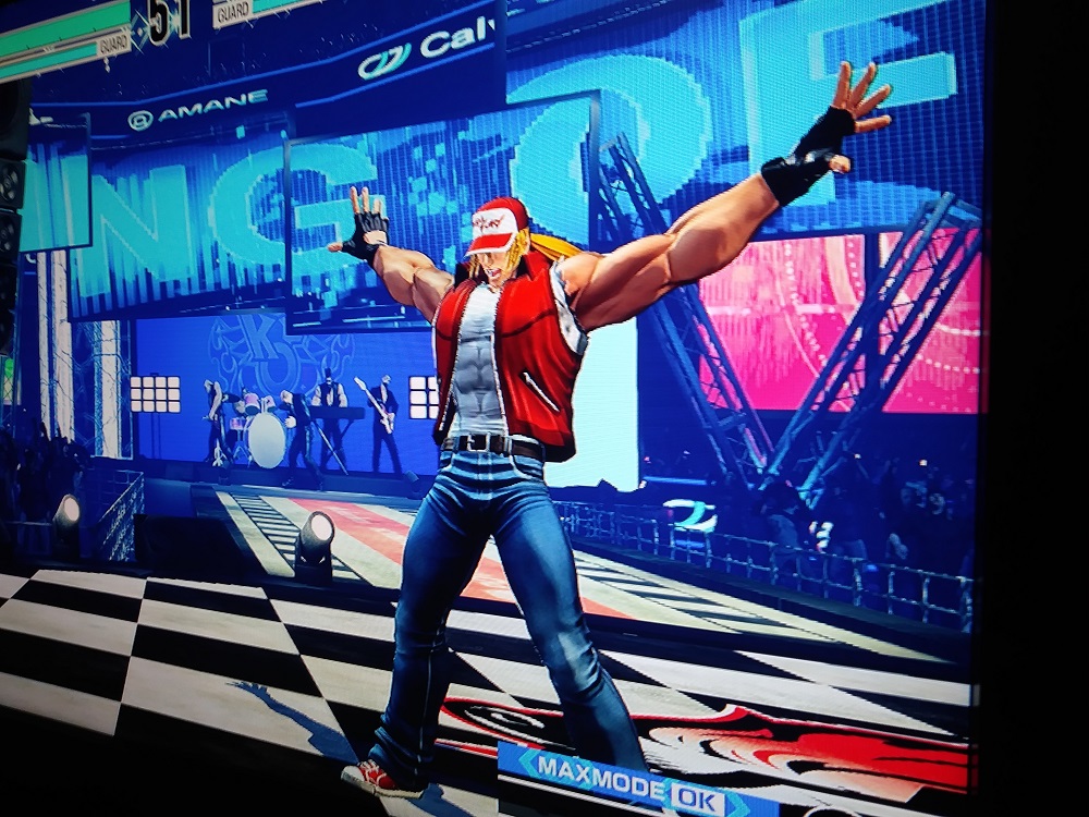 Why does video game star Terry Bogard pose before his iconic