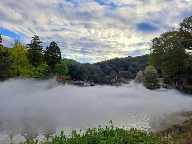 Tokyo park’s sea of clouds, nighttime illumination, and cosplay days make now perfect time to visit