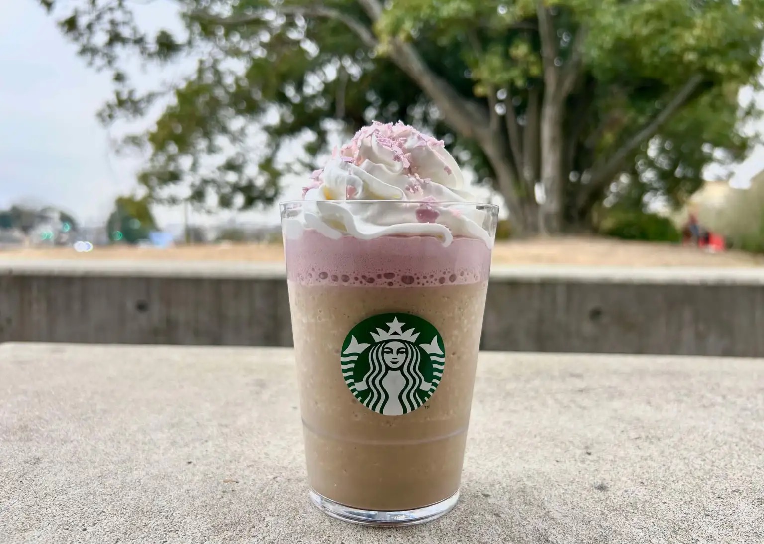 Starbucks sold Japan whipped birthday