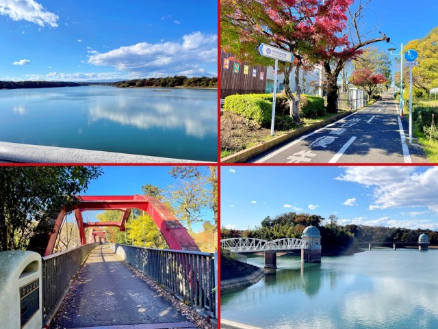 Biking around Tama Lake: A super-easy, super-relaxing afternoon getaway from downtown Tokyo【Pics】