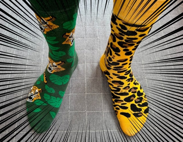 Lucky leaping leopards! It's the fukubukuro for Osaka ladies and