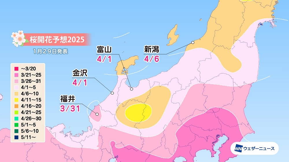 Updated Japan cherry blossom forecast maps move up predicted start