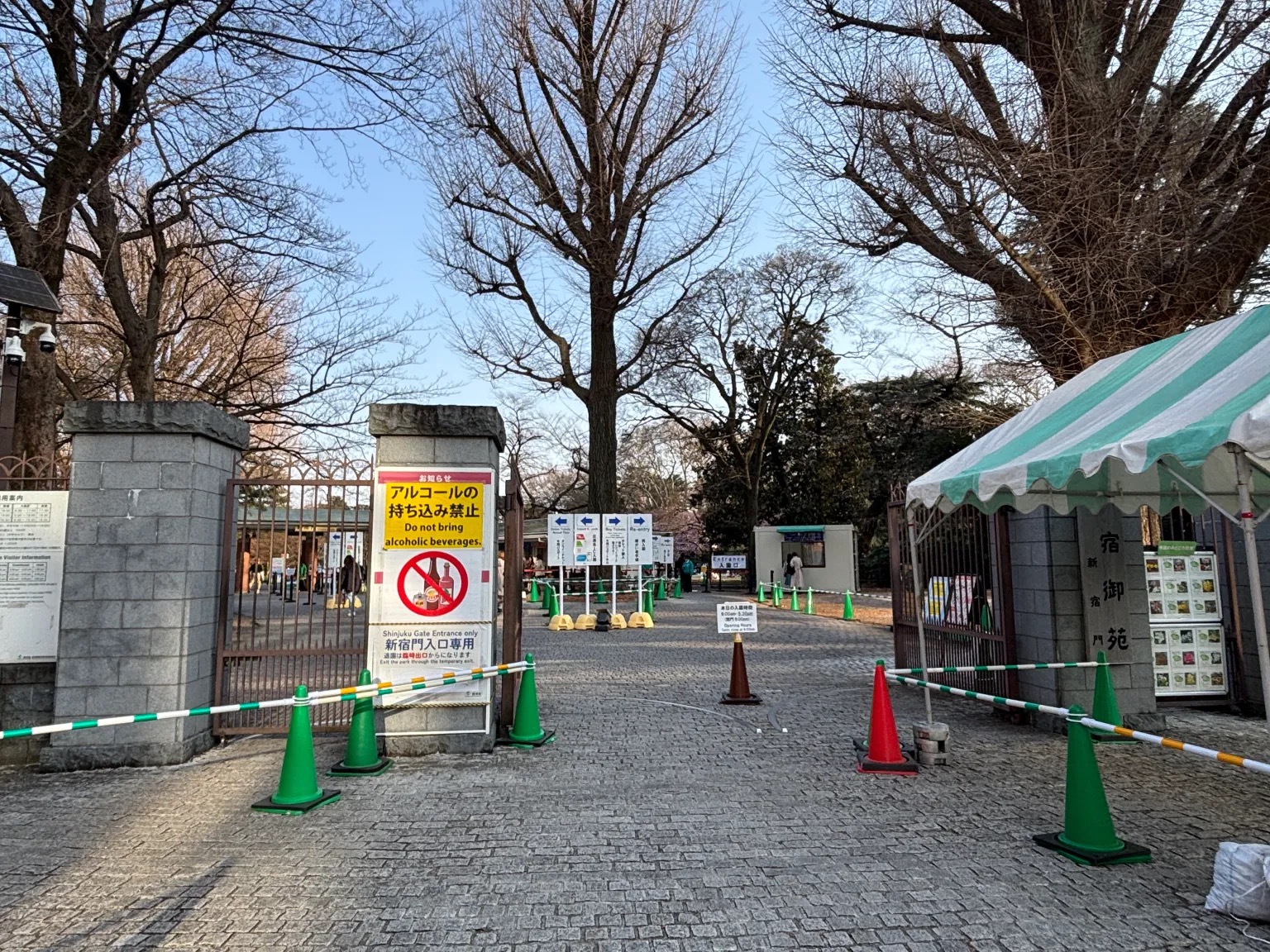 Tokyo sakura report: Why Shinjuku Gyoen beats Ueno Park for hanami ...