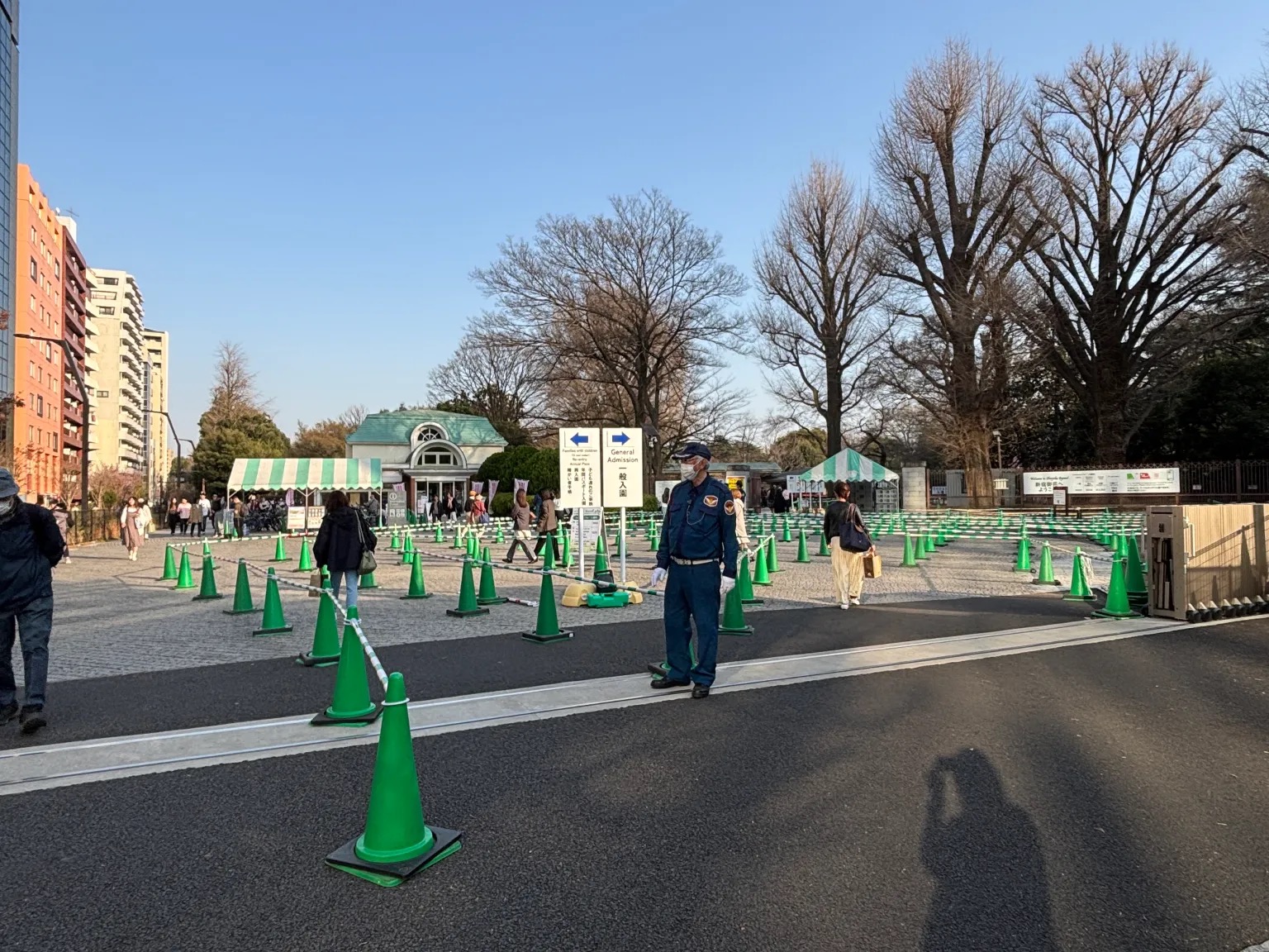 Tokyo sakura report: Why Shinjuku Gyoen beats Ueno Park for hanami ...