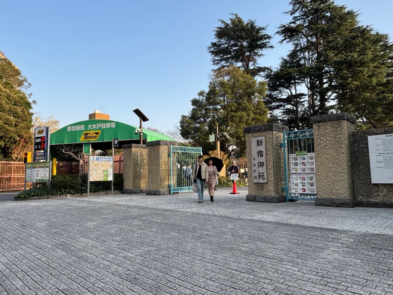 Tokyo sakura report: Why Shinjuku Gyoen beats Ueno Park for hanami ...