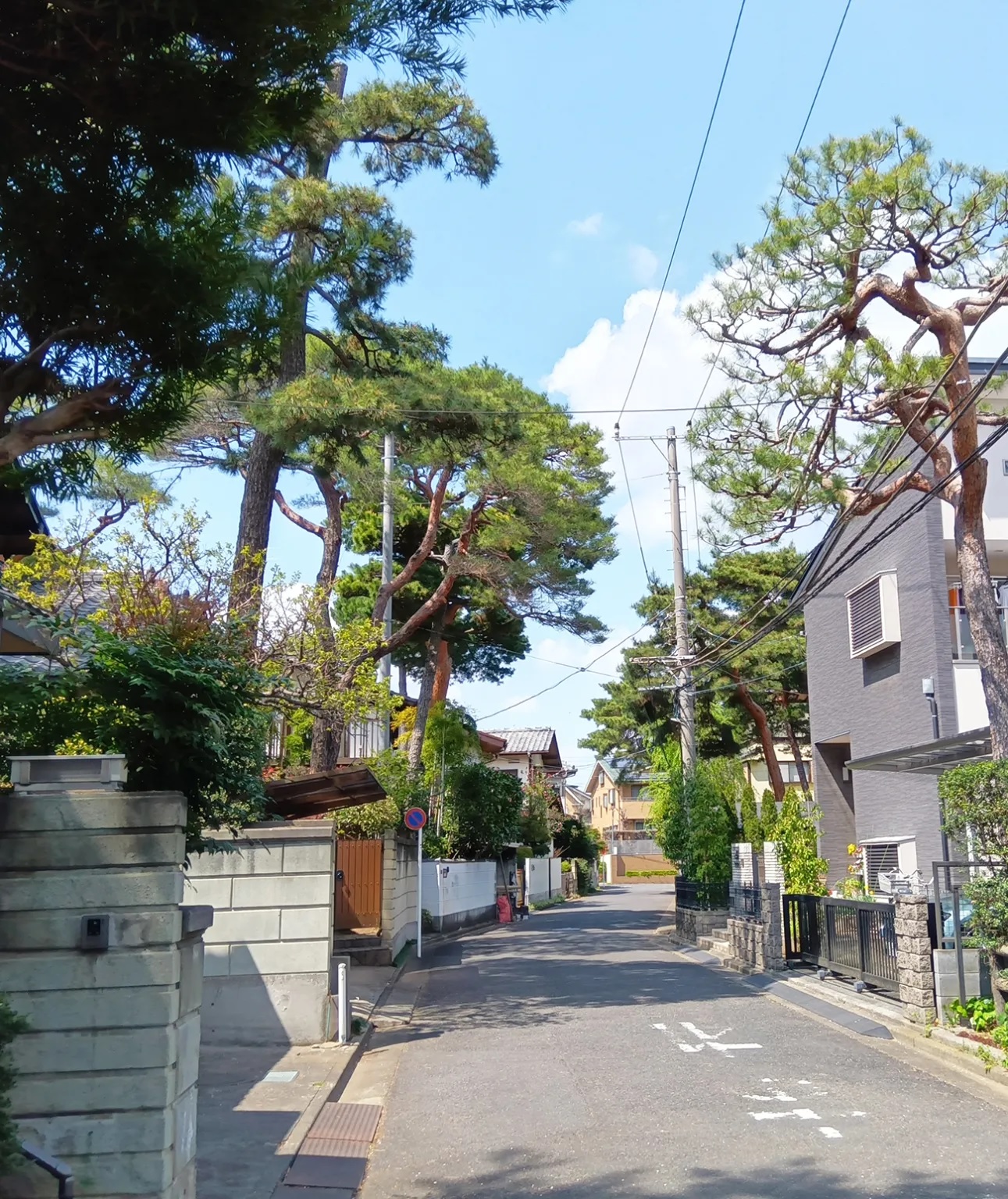 Small trees, big beauty await at Japan’s Bonsai Art Museum【Photos ...