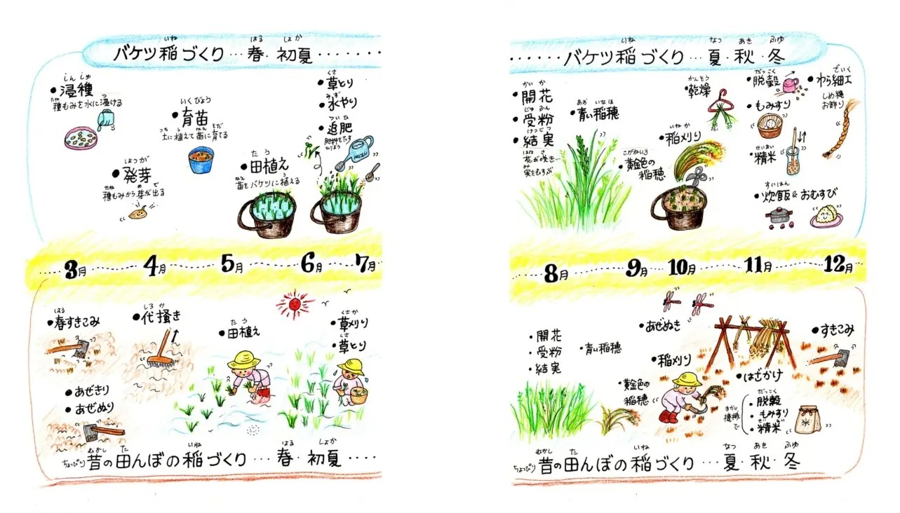 Grow your own balcony rice balls with this new how-to book | SoraNews24 ...