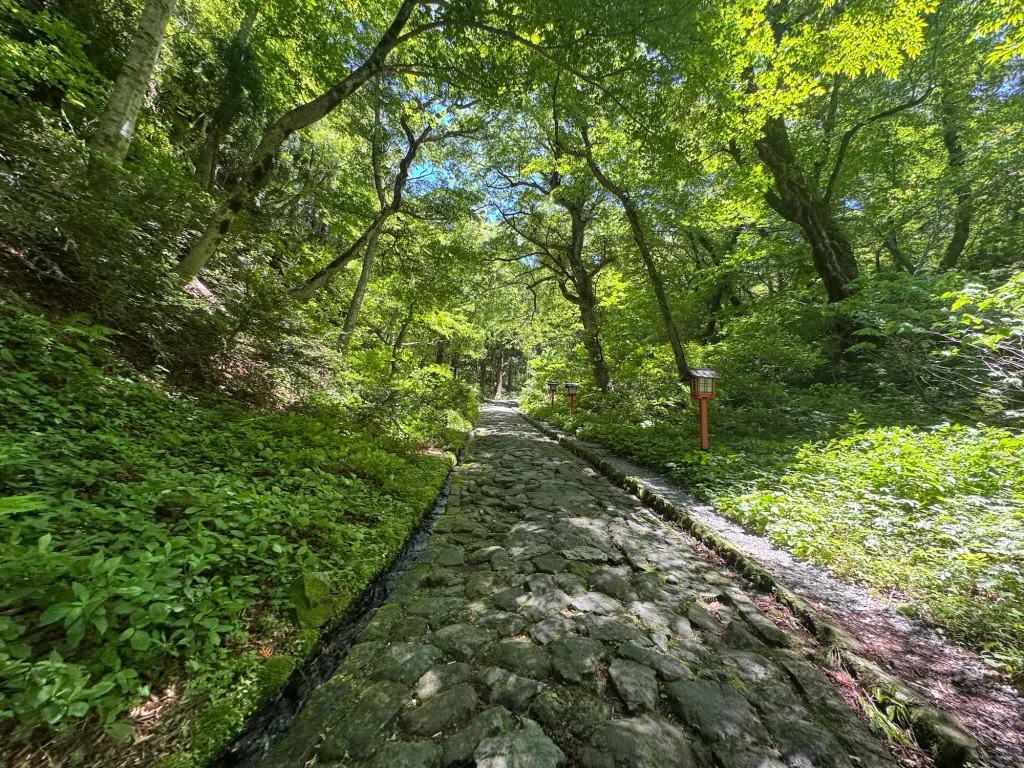 Searching for Japan’s “river of the dead” in Tottori Prefecture【Photos】
