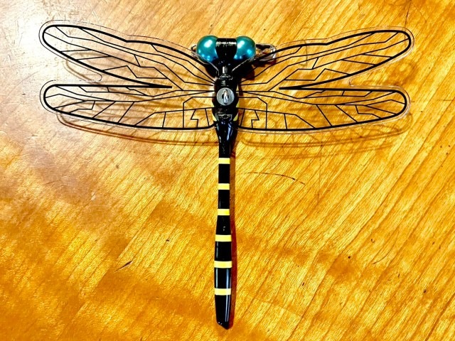 Can putting a giant dragonfly on your head repel bugs